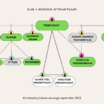 ejs struktuur