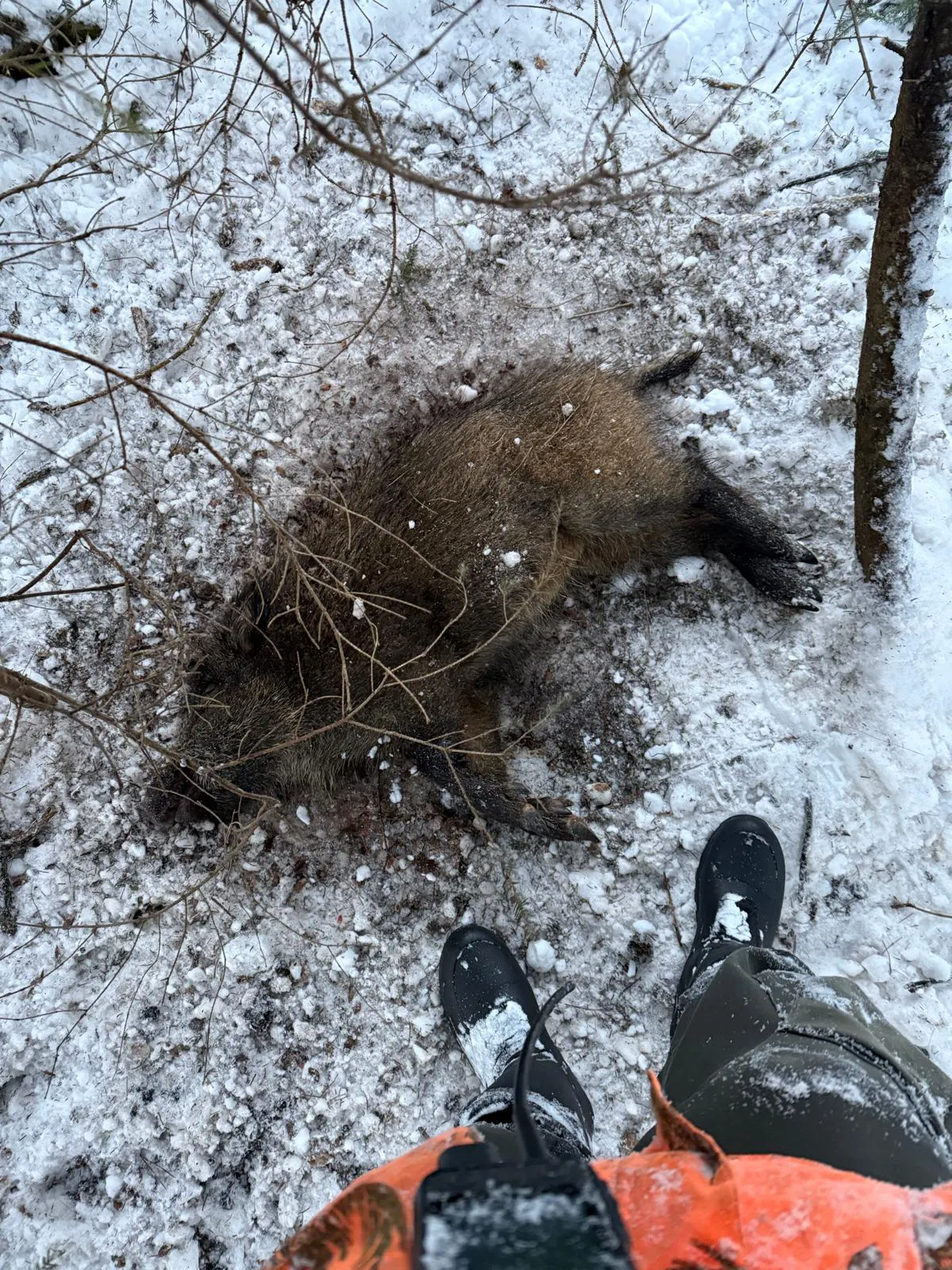 Seakatk laienes Raplamaale